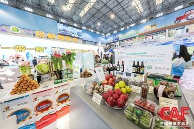 农高会淘宝攻略 一站式电子商务信息咨询指南